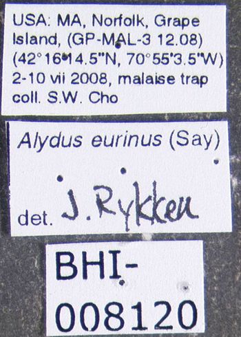 Media type: image;   Entomology 619227 Aspect: labels